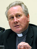Michael Louis Fitzgerald Aracne editrice