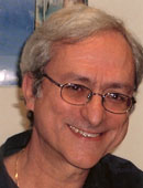 Giovanni Paolo Galdi Aracne editrice