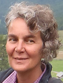 Maria Chiara Tosi Aracne editrice