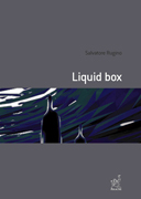 Copertina libro Liquid Box